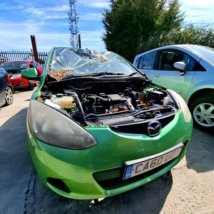 MAZDA 2 TS2 D